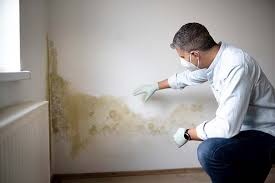 Best Emergency Mold Remediation  in Marlton, MD